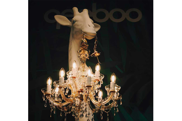 Giraffe In Love M Indoor