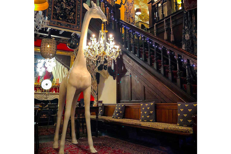 Giraffe In Love M Indoor