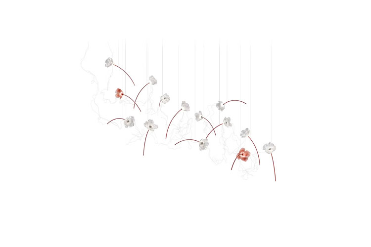 Poppy 14